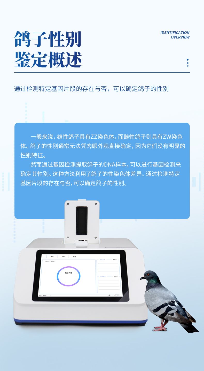 详情页_03_790x1440