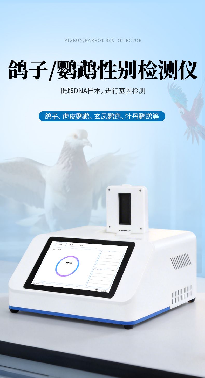 详情页_01_790x1460