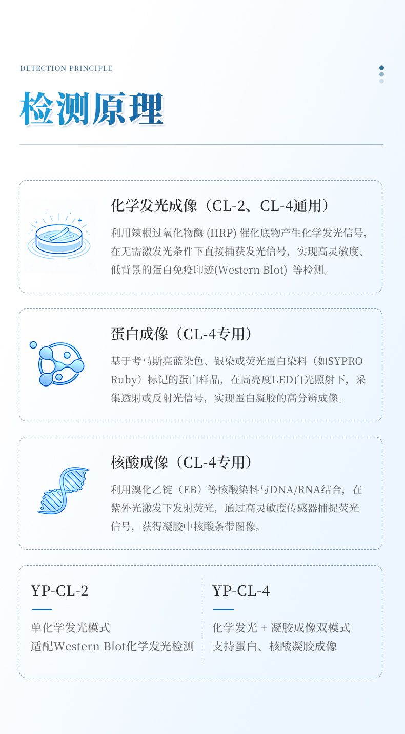 详情_03_790x1430