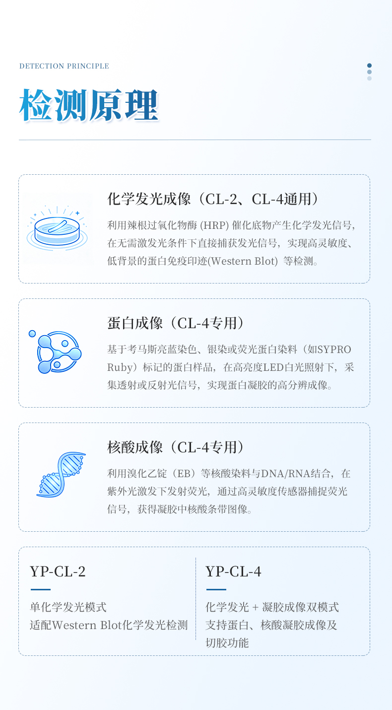 详情_03